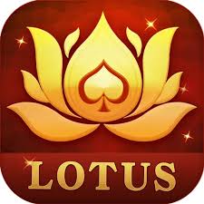 teen patti real cash no vip download